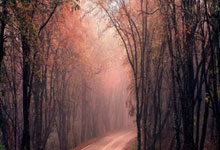 北控险遭福建18分逆转：里勒32+10+10 邹雨宸18+7邹阳27+10.