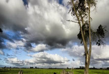 海星体育:张本美和印度夺冠!老爸台下激动相拥,兄妹“饮食难题”引遐想.