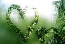 埃塞俄比亚选手包揽2025年武汉马拉松男、女冠军.