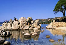 羽毛球中国大师赛吸引多位名将，石宇奇、安赛龙等人将参赛环球时报.